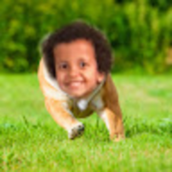lenabataineh67